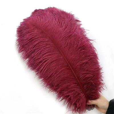 China Factory 50-55cm Wholesale Artificial Decor Feather Natural Ostrich Feathers Cheap To Wedding Decoration Colorful Feathers for sale