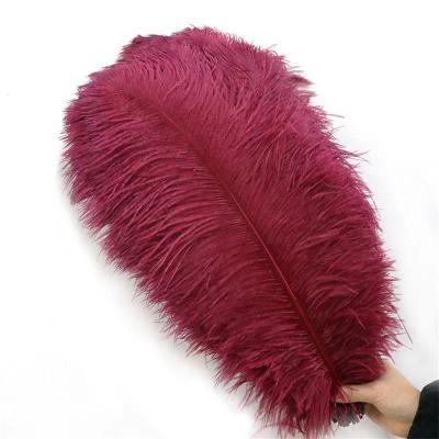 China Factory 55-60cm Wholesale Artificial Decor Feather Natural Ostrich Feathers Cheap To Wedding Decoration Colorful Feathers for sale