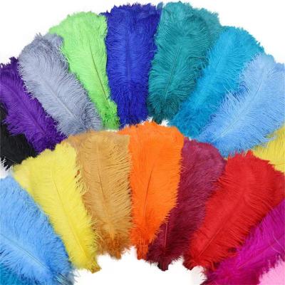 China Artificial Plant 70--75cm Wholesale Decor Natural Feather Ostrich Feathers Cheap For Wedding Decoration Colorful Feathers for sale