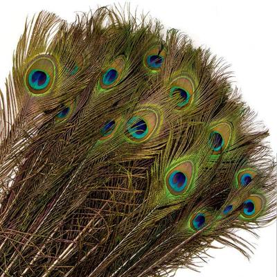 China 70-80 cm Large High Quality Full Eye Artificial India Peacock Feathers For Sale for sale