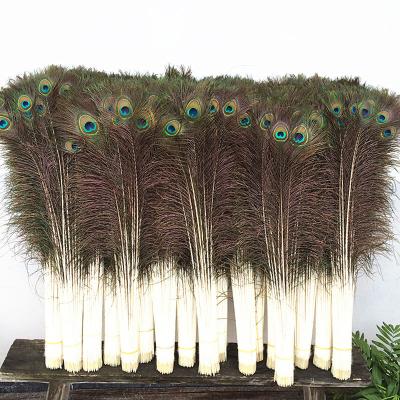 China Arts and crafts 80-90 cm high quality full eye large India peacock artificial feathers for sale for sale