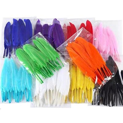 China Diy Craft Factory Wholesale 10--15cm High Quality Kid DIY Colorful Craft Feather For Decoration Duck Feather Accessories for sale