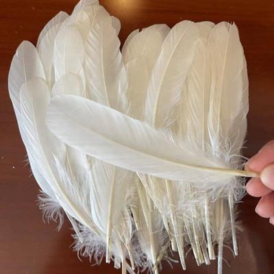 China The factory badminton manufacture sells badminton feathers directly, and exports the Indonesian feathers, badminton products, duck feathers, goose feather for sale