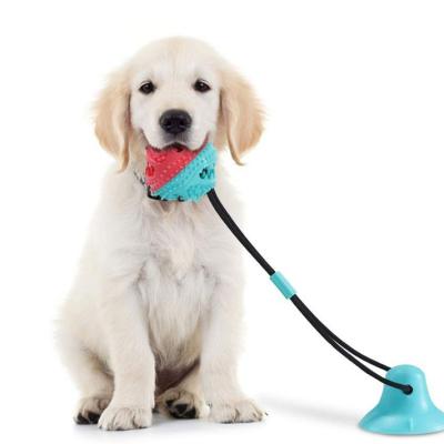 China Stocked Tureda Wholesale Pet Leashes New Lighter Reflective Nylon Pet Leash Small Medium Large Dog Drag Pull Tow Led Dog Leash for sale