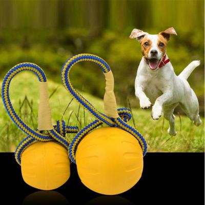 China Stocked Tureda Dog Toy 7/9 CM Pet Dog Training Toy Ball Indestructible Solid Rubber Ball Chew Play Bite Toy With Carrier Rope Bite for sale