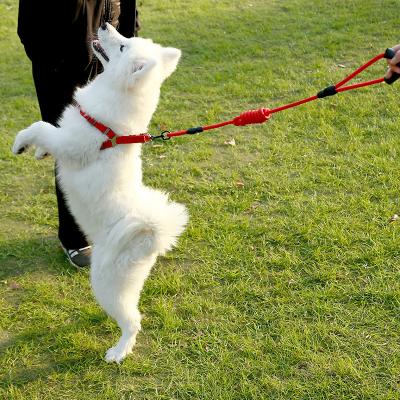 China Stocked Tureda Wholesale Pet Leashes dog leash Nylon Pet Leash for dog & cat Running or Training Collar and Harness for sale