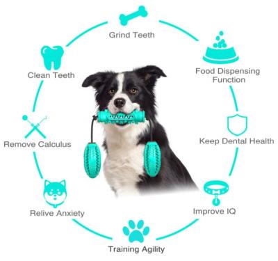 China Sustainable Amazon Top Selling Custom, Teeth Stick To Bite Halloween Toothbrush Heavy Duty Interactive Dog Toy With Rope for sale