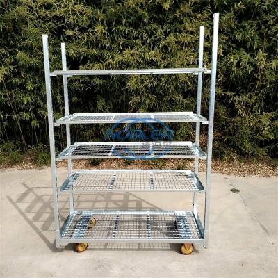 Κίνα Flower Cart Shipping Flower Trolley Μεταλλικό καλάθι λουλουδιών Εύκολη εγκατάσταση προς πώληση