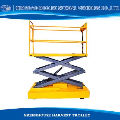 Китай Metal Greenhouse Lifting Car Agricultural Picking Car Vegetable Automatic Lifting продается