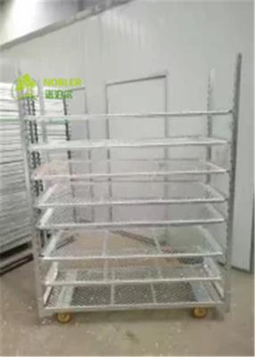 China Pull Net Dutch Flower Trolley Cc Trolley Greenhouse Cart , Metal Flower Cart for sale