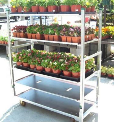 China Heavy Duty Dutch Trolley Shelves for sale