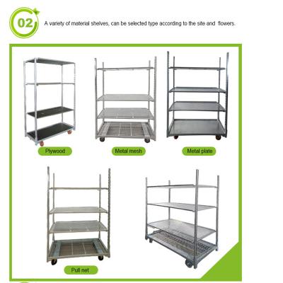 China Multiple Shelf Danish Trolley Shelves for sale