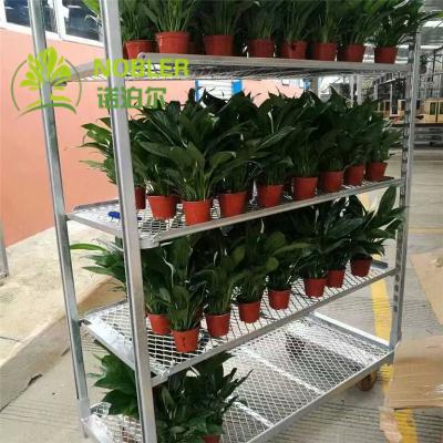 China Q235 Dutch Trolley Shelves for sale