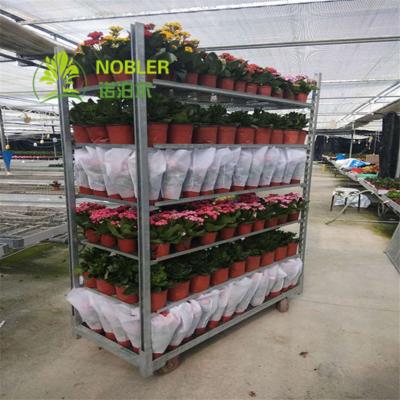 China 1350MM Shopping 100kg/Shelf Ez Racks Danish Container for sale