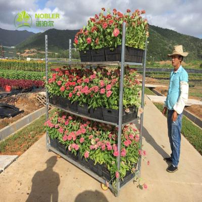 China Steel Q235 1900mm Powder Coated Nursery Plant Trolleys for sale