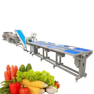 China Hotels Can Customized Vegetable Production Line Fruit Salad Washing Equipment for sale