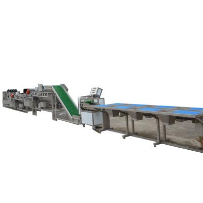 China Industrial Automatic Hotel Potato Chips Washing Peeling Slicing Making Machine Production Line for sale