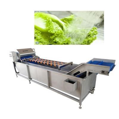 China Hotels Industrial Vegetable Washing Machine SUS304 Ozone Leaf Vegetable Washing Machine For Factory for sale