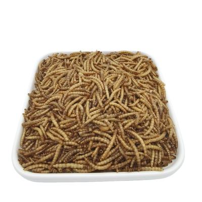 China Viable Dried Mealworms For Pet Food Hamster Snacks for sale