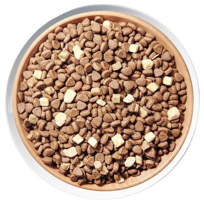 China Hot Sale 5kg Sustainable Dry Cat Food For OEM Brand Dry Food Factory for sale