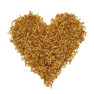 China Mealworm Animal Feed Bird Food Viable Dry Fish Food for sale