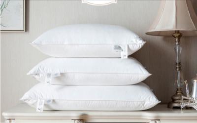 China Memory Hotel Decorative Pillow / All Cotton Tarpaulin Pillow / Feather Extra Pillow for sale