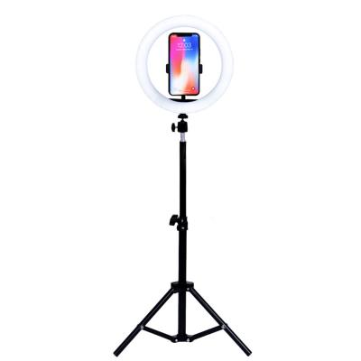 China New Arrival 10 Inch RGB Adjustable Colored Photography Light Sufficiency Youtube Tik Tok LED Light Sufficiency Mobile Selfie Beauty Desktop Living Lamp for sale