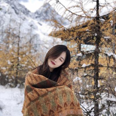 China Lady Fashionable Women Girl Ethnic Style Winter Touched Super Thick Warm Soft Knitted Scarf Shawl Cover Up Scarf With Tassels for sale