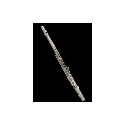 China Nickel Plated Custom Classic Metal Style Musical Instruments Long Stemmed Groove For Kids for sale