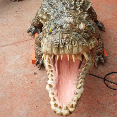 China Real museum size simulation crocodile indoor commercial amusement park, for sale