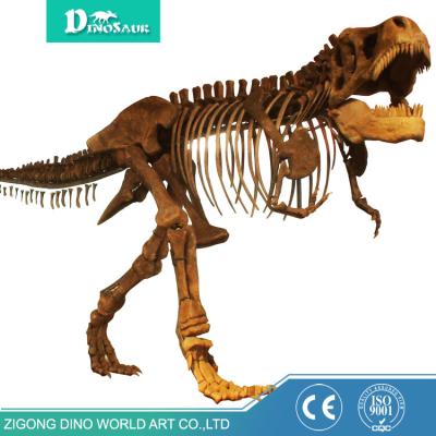 China Museum Dinosaur Resin Dinosaur T-rex Skeleton Life Size Dinosaur Skeleton for sale