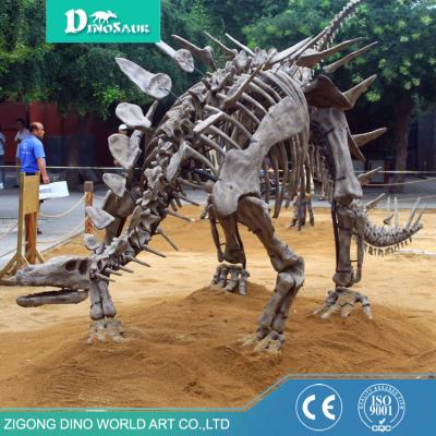 China Outdoor Museum Playground Huayangosaurus Dinosaur Fossils For Sale for sale