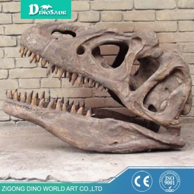 China Wholesale Realistic Museum Resin Dinosaur Skeleton Life Size Dinosaur Skeleton for sale