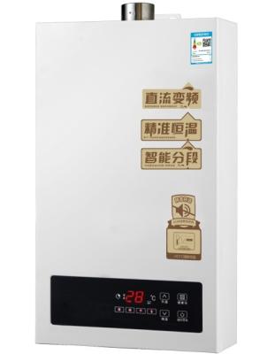 China hotel gas water heater for sale