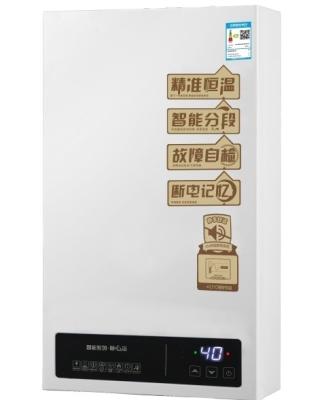 China Household Natural Gas Water Heater for sale