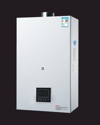 China Household Wall Hung Gas Boiler for sale