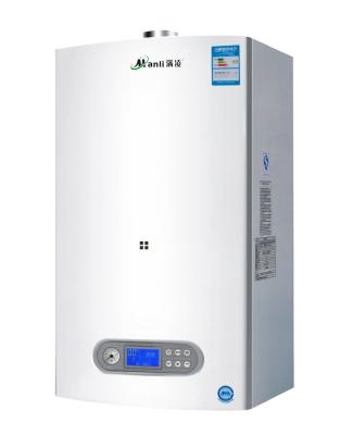 China Heater and Wall Hung Gas Boiler to Bathe for sale