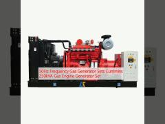 50Hz Frequency Gas Generator Sets Cummins  250kVA Gas Engine Generator Set