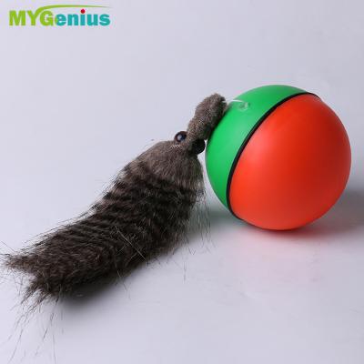 China 2018 Soft Toy Battery Toy Beavers Chase Ball With Light for sale