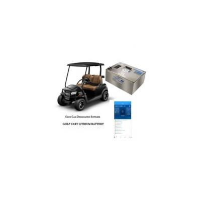 China Golf Carts CE MSDS 2021 USA Warehouse Customized Capacity 48V 50-1000Ah LiFePO4 Lithium Golf Cart Battery for sale