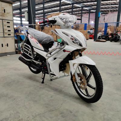 China newest style pocket bike water cooled 4 stroke 70cc 110cc 125cc 150cc moped other import motorcycle from china front: 2.50-17 rear: 2.75-17 for sale