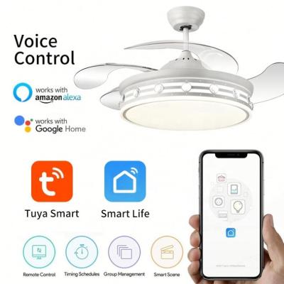 China Modern 42 inch 110v 220v Folding Modern Remote Control Ceiling Fans With Lights Lamp Led Designer Luz Scam Ventilador Oculto Techo for sale