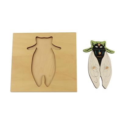 China Biology montessori puzzle cicada toy BO016 wooden educational toys equipment educational materials for children for sale