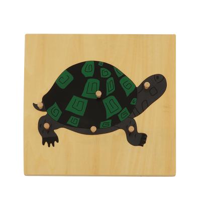 China Wooden cartoon toy BO009 turtle puzzle montessori biology equipment materials educational toys for children for sale