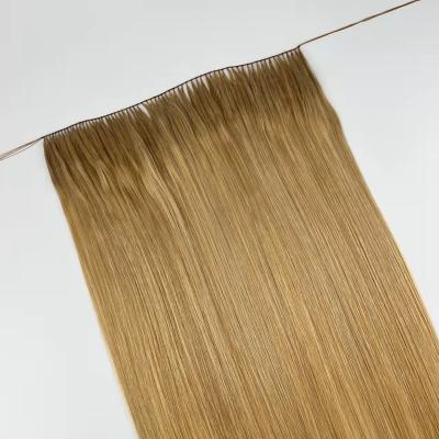 China Europe Most Comfortable Hair Extension High Quality Hair That Hand Knitted Hair Curtain Weft for sale