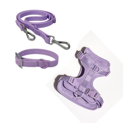 China Fashion Pet Stocked Harness Invest Waterproof Luxury PVC Dog Collar And Leash Set for sale