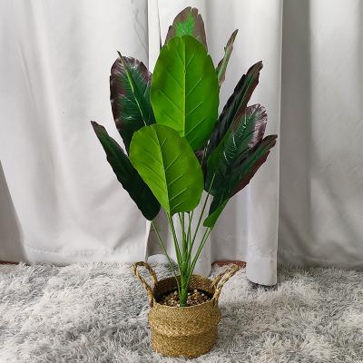 China High Quality Softness 12 Branches Simulation Moving Banana Leaves Artificial Green Leaves Plant Wholesale for sale