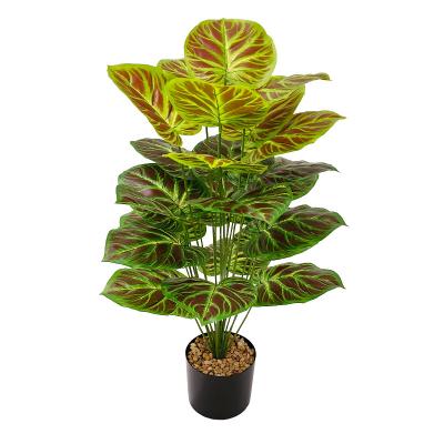 China High quality artificial softness fork plants velvet leaves simulation green plant bonsai for landscape decoration for sale