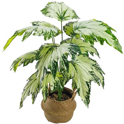 China High Quality Plastic Simulation Plant Softness Home Decor Artificial Plant Begonia Leaves Bunches For Indoor for sale