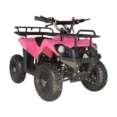 China 2024 Bull Style 2 Stroke 49cc Pull Starting Kids Mini ATV with Air Brake Shock Absorber for sale